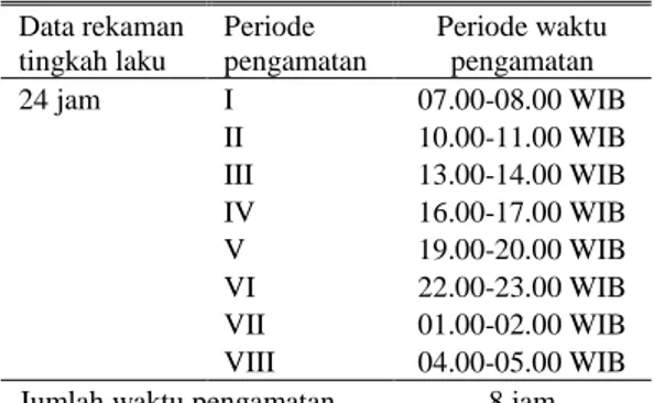 Tabel 1.  Periode  pengamatan  tingkah  laku  data  utuh  (8  jam)  yang  digunakan  dari  data  rekaman  tingkah  laku  sepanjang  hari   (24 jam)  Data rekaman  tingkah laku  Periode  pengamatan  Periode waktu pengamatan  24 jam  I  07.00-08.00 WIB  II  