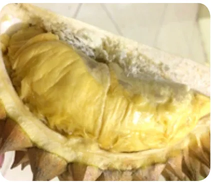 Gambar 7 Durian segarSumber : Dokumen penulis
