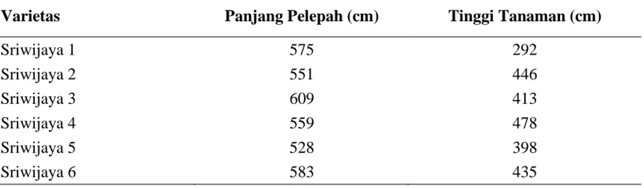 Tabel  2.  Karakter  vegetatif  kelapa  sawit  varietas  DxP  Sriwijaya  berdasarkan  panjang  pelepah dan kecepatan meninggi