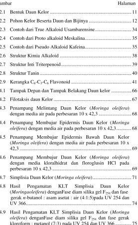 Gambar                                                                                     Halaman 