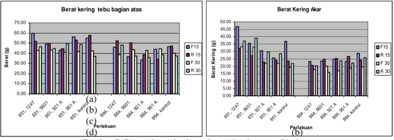 Tabel 6. Pengaruh jenis bakteri inokulan dengan waktu aplikasi terhadap berat kering tebu bagian  atas  (g)  Waktu inokulasi  Bakteri  15 hari  30 hari  Kontrol  51.715 a  39.414 b  A