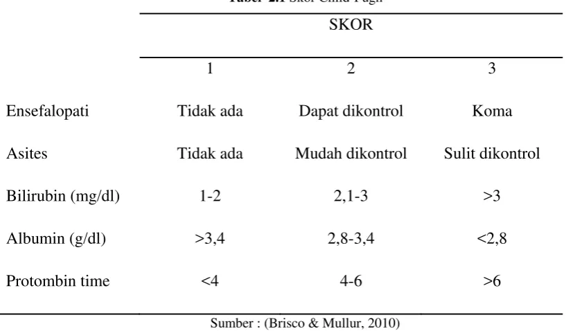 Tabel  2.1 Skor Child-Pugh 