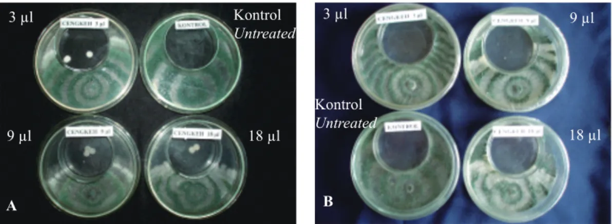 Tabel 1.   Luas miselium cendawan Gliocladium sp. setelah mendapat perlakuan minyak  ceng- ceng-keh dalam cawan petri (Mycelial width of Gliocladium sp