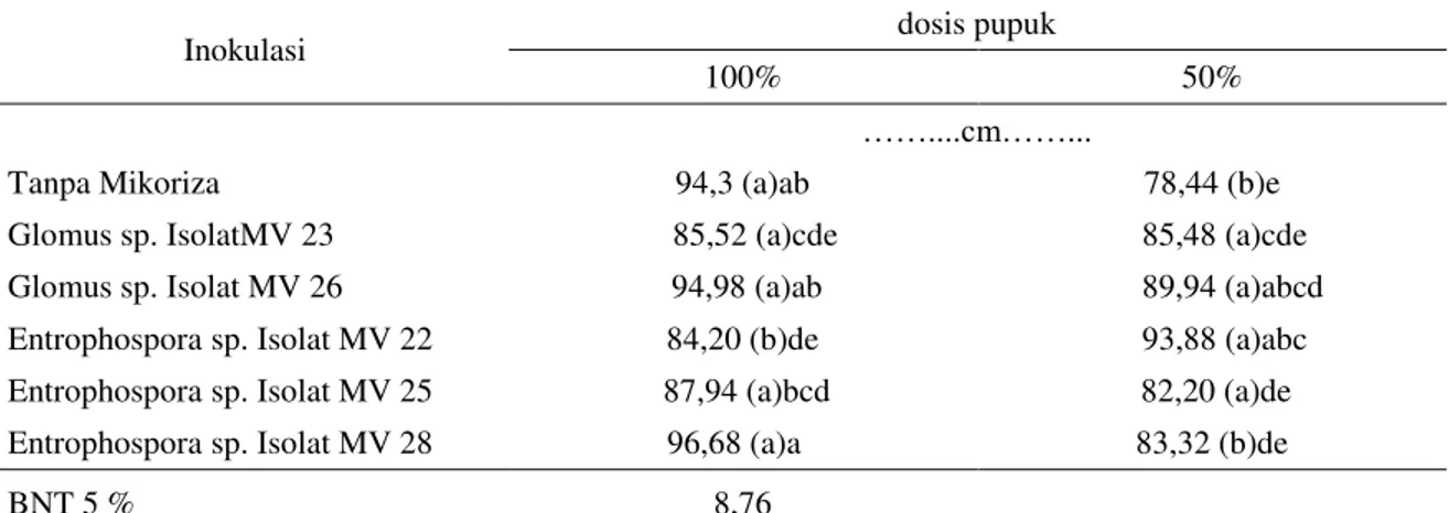 Tabel 4.Kombinasi perlakuan jenis FMA dan dosis pupuk NPK pada tinggi tanaman bibit kelapa sawit  umur 9 bulan