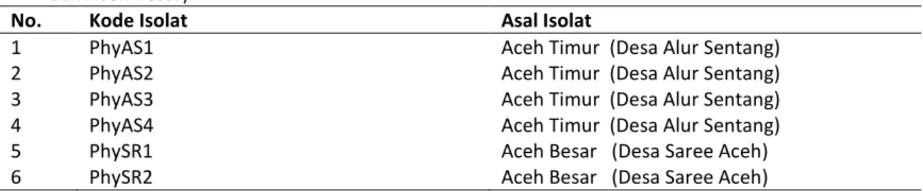 Tabel 1. Koleksi isolate patogen penyebab penyakit busuk buah kakao dari dua kabupaten (Aceh Timur  dan Aceh Besar) 