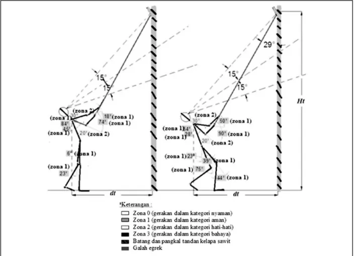Gambar 4. Model antropometri pemanenan saat kondisi ambang batas ekstrim yaitu pada postur  sebelum (A) dan sesudah (B) gerakan memotong pelepah dan tandan.