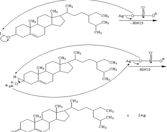 Gambar 5.  Perkiraan mekanisme reaksi sintesis nanopartikel perak dengan menggunakan ekstrak daun paliasa  (Kleinhovia hospita Linn.) (Zakir dkk., 2014) 