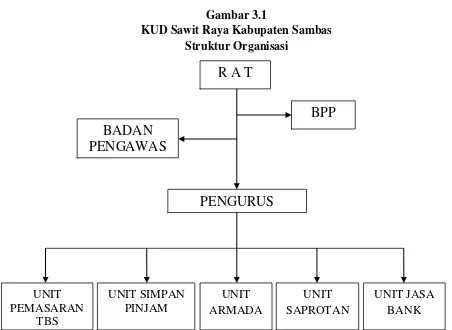 Gambar 3.1 KUD Sawit Raya Kabupaten Sambas 