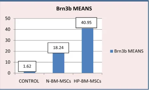 Figure 9. Immunohistochemistry analysis of Brn3b expression four week after transplanted from acute glaucoma animal models