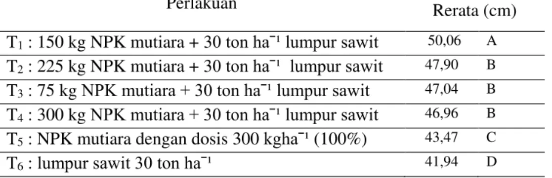 Tabel 2. Hasil uji rerata pengaruh lumpur sawit dan NPK terhadap  tingkat  kehijauan  daun Jagung Manis (Zea mays Saccharata) 