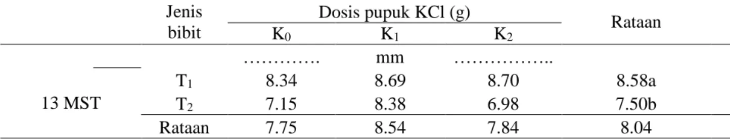 Tabel 3. Rataan diamter batang tanaman kelapa sawit 13 MST