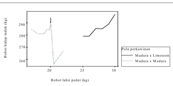 Gambar 2. Bobot lahir pedet sapi Madura dan persilangannya dengan Limousin menurut bobot hidup induk