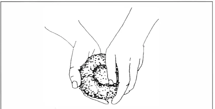 Gambar 2.3 Pembentukan dengan Teknik Pijit (Sumber: Joukouwsky 1980) 