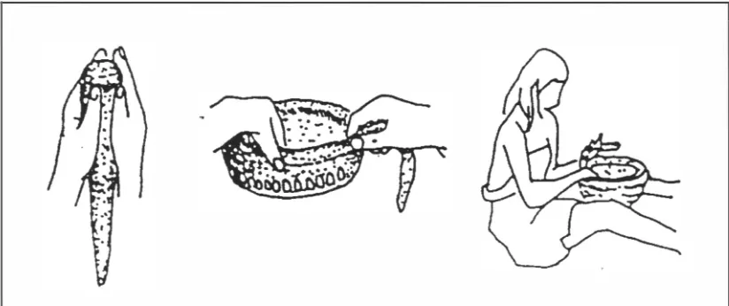 Gambar 2.4 Pembentukan Dengan Teknik Spiral (Sumber: Li Zhejiang & Cheng Wen 1984) 