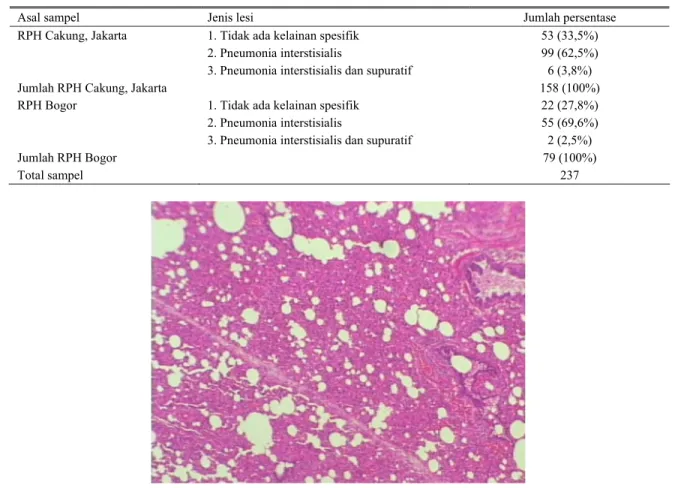 Tabel 1. Hasil pemeriksaan histopatologi paru paru dari RPH Cakung, Jakarta dan RPH Bogor tahun 2002 