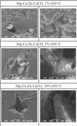 Gambar  3: Morfologi permukaan sebelum  pengujian korosi pada paduan Mg-Ca-Zn-CaCO 3 pemanasan 600 °C.
