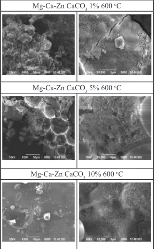 Gambar 5: Morfologi permukaan setelah pengujian  korosi pada paduan Mg-Ca-Zn-CaCO 3  pemanasan  600 °C.