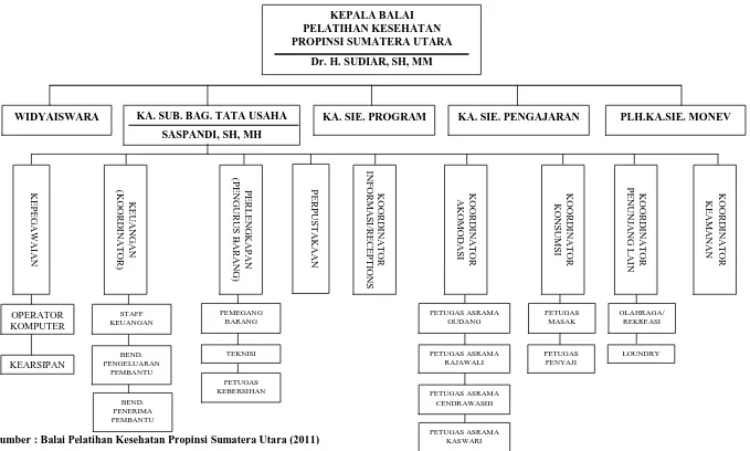Gambar 2.1  Struktur Organisasi Balai Pelatihan Kesehatan Propinsi Sumatera Utara 