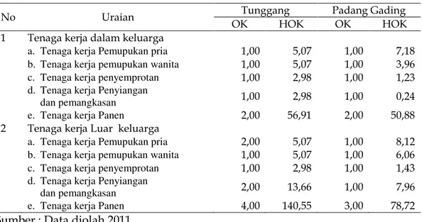 Tabel 5.   Rata-rata  jumlah  penggunaan  tenaga  kerja  usahatani  kelapa  sawit  Desa  Tunggang dan Desa Padang Gading  