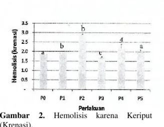 Gambar  2.  Hemolisis  karena  Keriput  (Krenasi). 