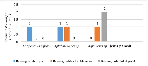 Gambar 2. Diagram Perbandingan Intensitas Serangan Nematoda Parasit yang Menyerang Bawang Putih   Impor dan Lokal di Jawa Timur