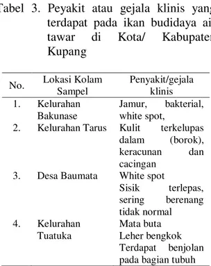 Tabel  3.  Peyakit  atau  gejala  klinis  yang  terdapat  pada  ikan  budidaya  air  tawar  di  Kota/  Kabupaten  Kupang 