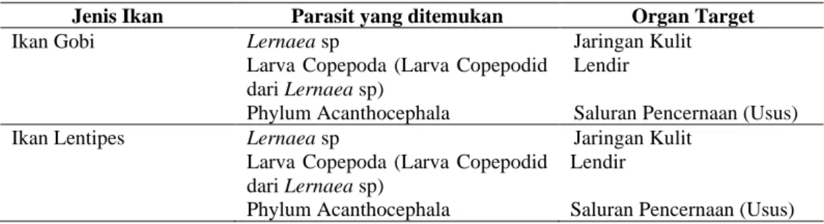 Tabel 1. Inventarisasi dan identifikasi parasit yang mengifeksi ikan gobi dan lentipes  Jenis Ikan  Parasit yang ditemukan  Organ Target 
