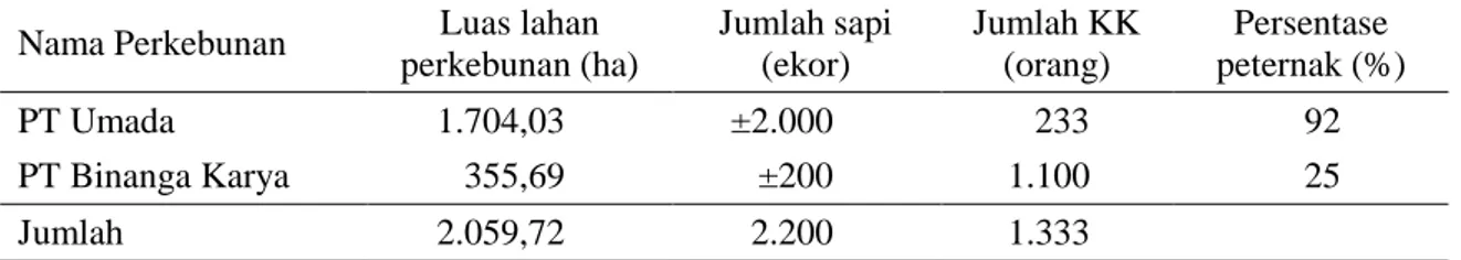 Tabel 1.  Luas  lahan  perkebunan  sawit  dengan  jumlah  kepala  keluarga  dan  persentase  peternak  sapi 