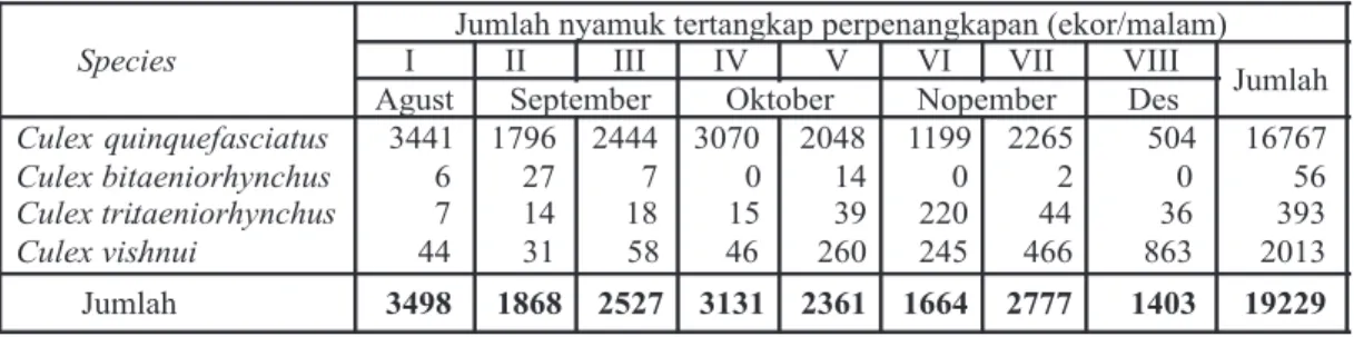 Tabel 1. Jumlah nyamuk Culex yang tertangkap di Kelurahan Pabean Kecamatan. Pekalongan  Utara Kota Pekalongan (AgustusDesember 2007)