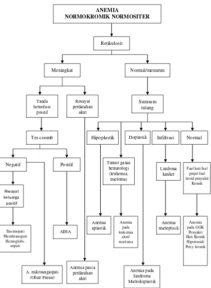 Gambar 3. Algoritma diagnosis anemia normokromik normositer 3,8,9,27,28