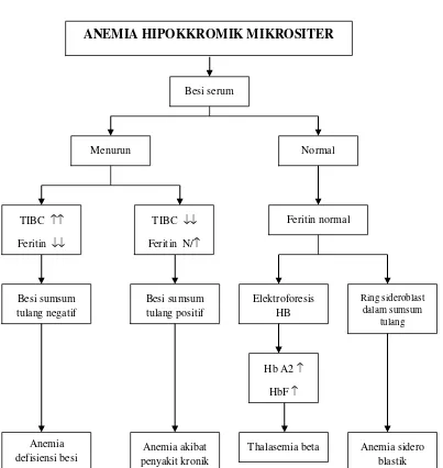 Gambar  2. Algoritma pendekatan diagnostik penderita dengan anemia hipokromik mikrositer 3,8,9,27,28 