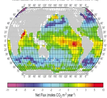 Figure 2. Global Distribution of the Net sea-air 