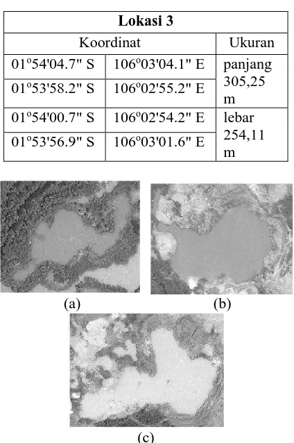 Gambar 1  Citra (c) grayscale daerah bekas penambangan timah (a) Lokasi 1; (b) Lokasi 2; 