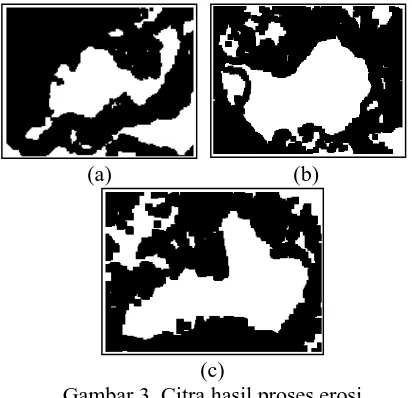 Gambar 3  Citra hasil proses erosi (c) (a) Lokasi 1; (b) Lokasi 2; (c) Lokasi 3 