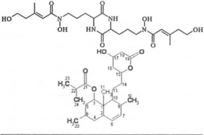 GAMBAR 3.  Struktur Kimia Asam dimerumat (1) dan Dihidromonacolin  MV (2) (Ohale ef al.,  2007, Me;  ef al.,  2011)