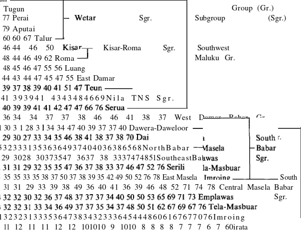 FIGURE 3: THE 24 LANGUAGES OF SOUTHWESTERN MALUKU