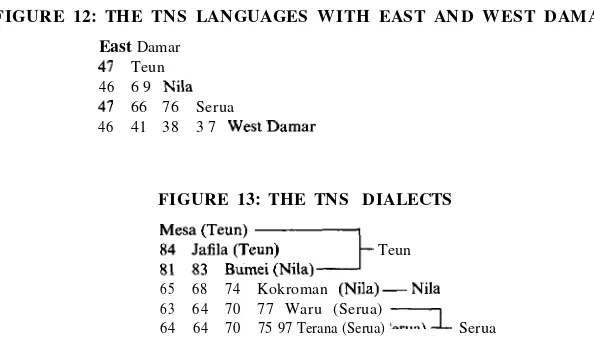 FIGURE 12: THE TNS LANGUAGES WITH EAST AND WEST DAMAR