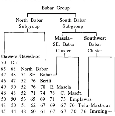 FIGURE 14: THE BABAR LANGUAGES