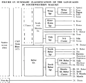 FIGURE 15: SUMMARY CLASSIFICATION OF THE LANGUAGES