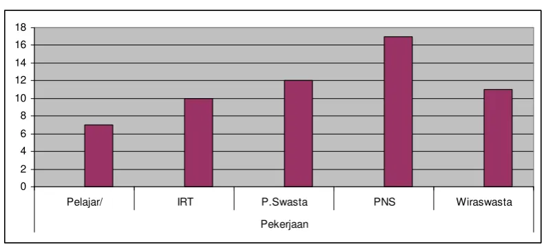 Gambar 4.3 Pekerjaan Pelanggan 