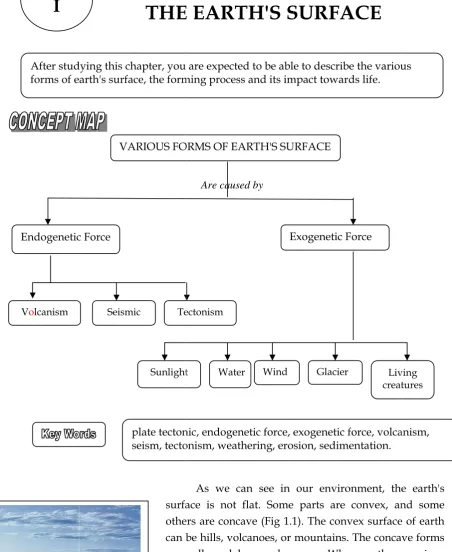 Fig.  1.1   Relief o