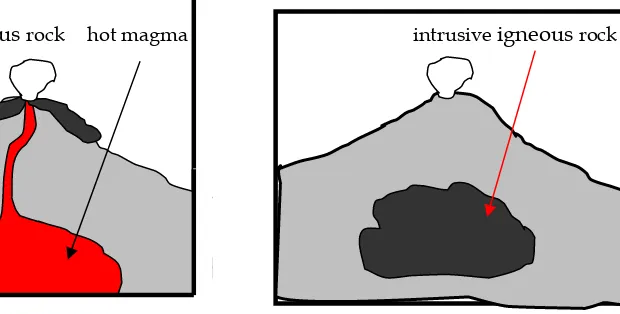 Fig. 1.20   Intrusive igneous rock 