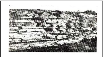 Fig. 1. 22  SSedimentaryy rock 