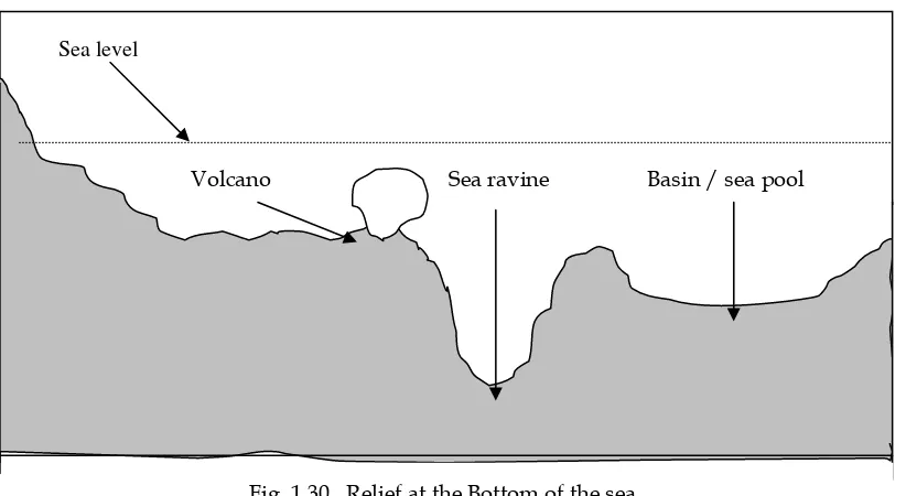 Fig. 1.30   Relief at the Bottom of the sea 