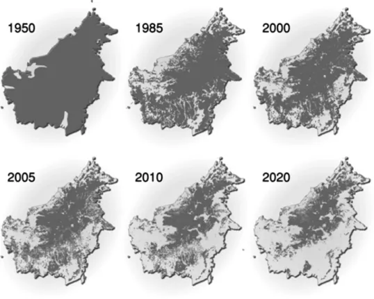 Gambar 2. Peta Borneo