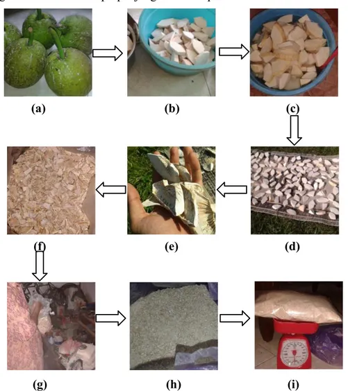 Gambar 2. Proses pembuatan beras analog sukun semi instan meliputi (a) persiapan buah sukun, (b) pengelupasan kulit buah sukun, (c) perendaman dengan