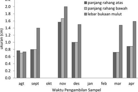 Gambar 2. Meristik tembakang (Helostoma temminckii) dengan panjang rahang  atas, panjang rahang bawah dan lebar bukaan mulut (cm) pada bulan  Agustus-April