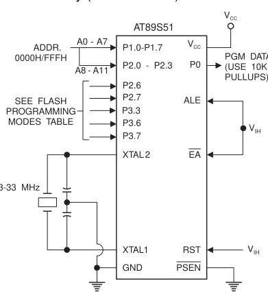 Figure 4.  Programming the Flash Memory (Parallel Mode)