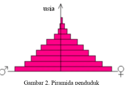 Gambar 2. Piramida penduduk