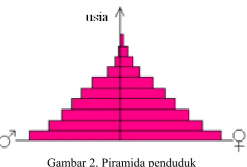 Gambar 2. Piramida penduduk